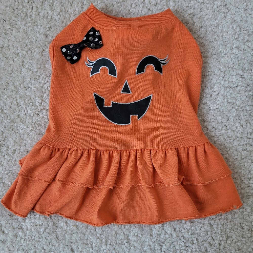 Halloween pumpkin costume for your pet